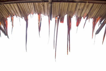 Tropical thatch roof isolated on white backgroundの写真素材