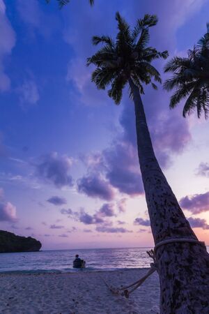 Silhouetted of coconut tree during sunriseの写真素材