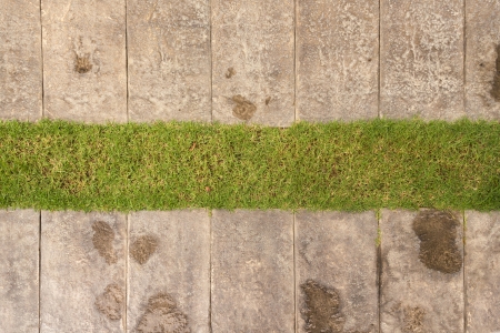 path with grass growing up between the stones background textureの写真素材