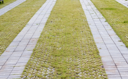 Garden stone path with grass growing up between the stonesの写真素材