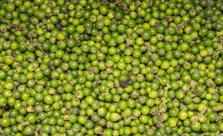 Fresh pepper background texture