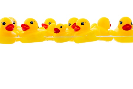 rubber duck in waterの写真素材