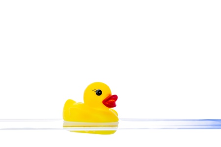 rubber duck in waterの写真素材