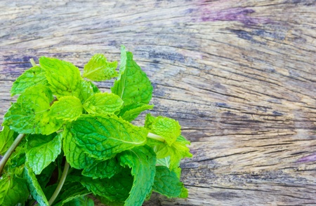 Fresh Peppermint on wood textureの写真素材