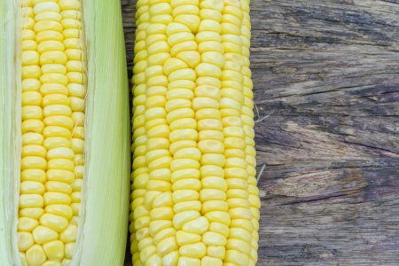 Ripe corn on a wooden table