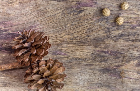 Dry flowers frame on wooden background with copy space