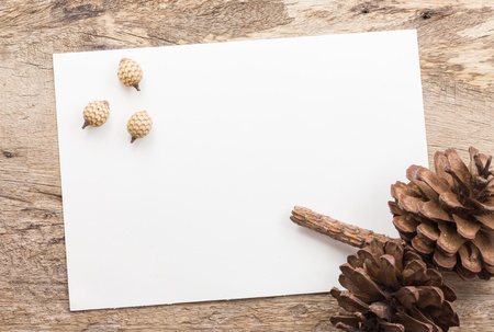 Dry flowers frame on white paper background with copy spaceの写真素材
