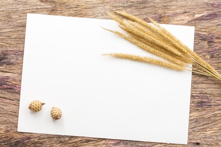 Dry flowers frame on white paper background with copy spaceの写真素材