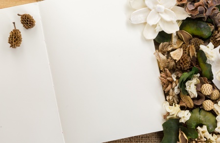 Dry flowers frame on white paper background with copy space