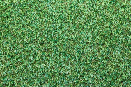 Artificial grass background textureの写真素材