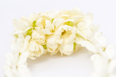 Close-up of Jasmine garland isolated on white backgroundの写真素材