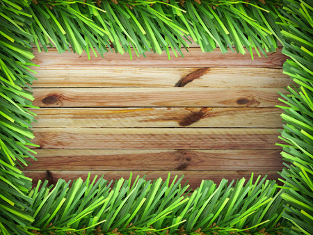 Christmas fir tree on a wooden boardの写真素材