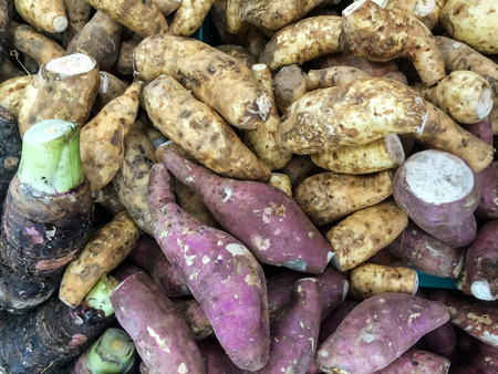 Fresh Taro and Cassava Roots, Taro and Cassava Roots at the marketの写真素材