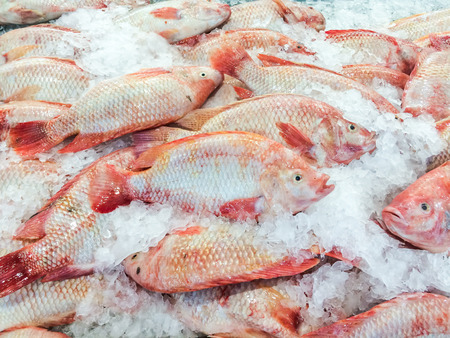 Fresh fish on ice in the market, Thailandの写真素材