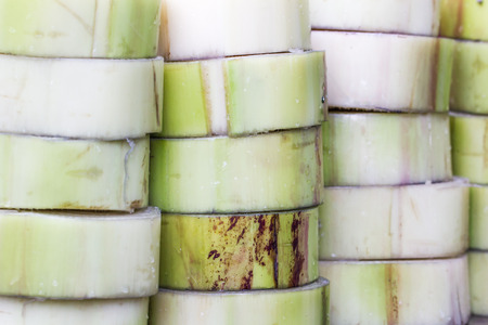 Cross section of banana tree texture backgroundの写真素材