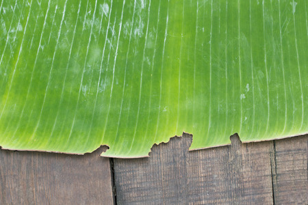 Banana leaves on wooden backgroundの写真素材