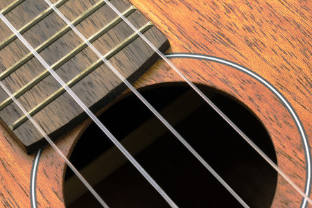 Close-up Part of ukulele guitar