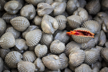 Shellfish Blood Cockles marketの写真素材