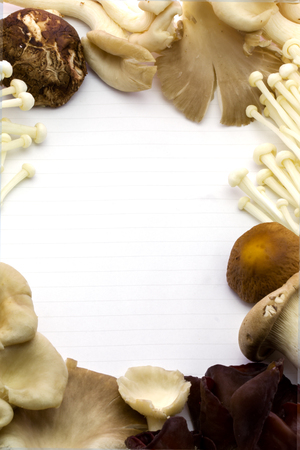 Fresh mushrooms on white backgroundの写真素材