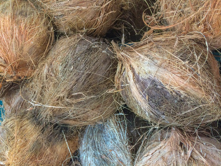 coconuts shell in market