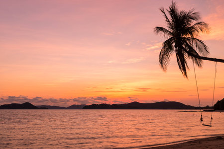Coconut trees silhouette at sunset, Mak island, Thailandの写真素材