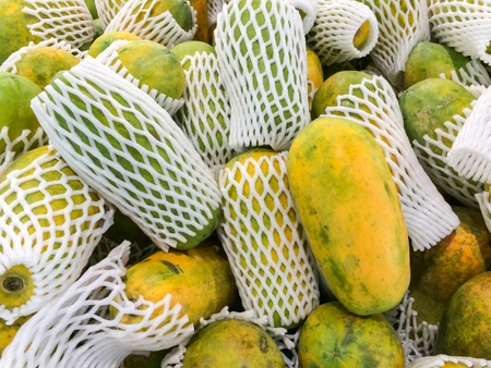 Yellow papaya stack in marketの写真素材