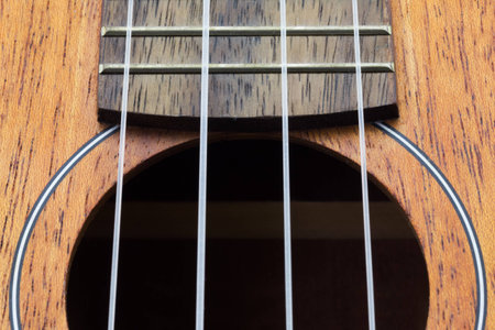 Close-up Part of ukulele guitar