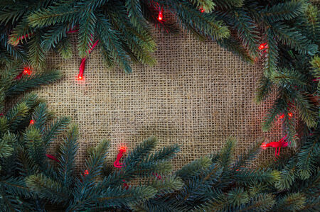 Christmas fir tree with Christmas lightの写真素材