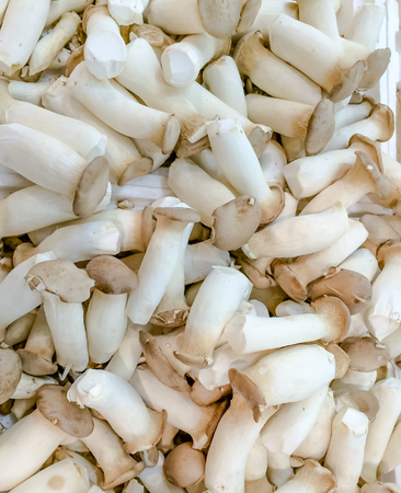 Eringii Mushroom in the marketの写真素材