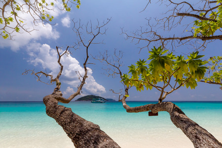 Beautiful white sand beach with blue sky at Ko Tachai Island,Thailandの写真素材