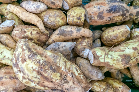 Yucca Cassava Roots at the marketの写真素材