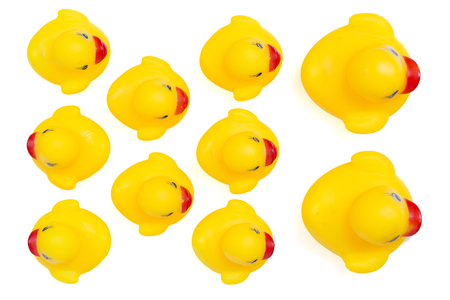 Yellow rubber ducks in a row. An individualist is sticking out the crowdの写真素材