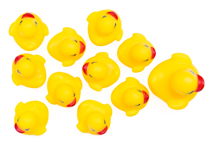 Group of yellow rubber duck isolate on whiteの写真素材