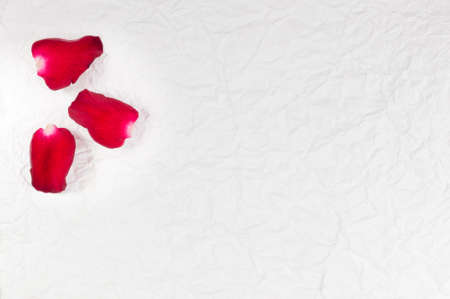 Petals of roses on a wrinkled paper backgroundの写真素材