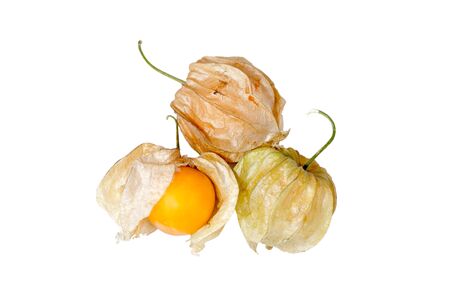 Cape Gooseberry or Physalis fruit isolate on white backgroundの写真素材