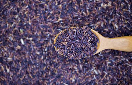Rice berry rice, Thai black jasmine rice in wooden spoon (focus rice in wooden spoon)の写真素材