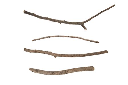Set of dry tree branch, isolated on white backgroundの写真素材