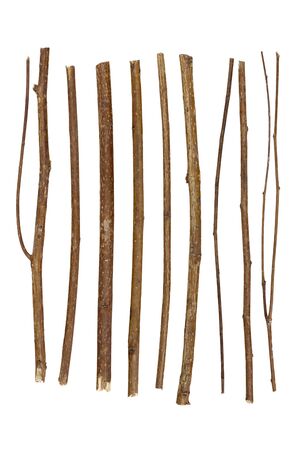 Twigs, set macro dry branches birch isolated on white backgroundの写真素材