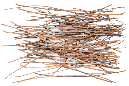 Pile of dry birch twigs isolated on white