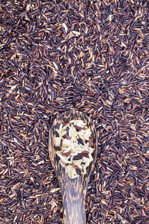 mixed of Thai rice varieties in wooden spoon over Rice berry rice, Thai black jasmine rice (focus rice in wooden spoon)の写真素材