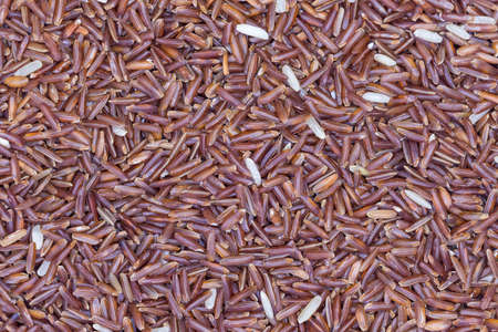 Red rice use for texture and backgroundの写真素材