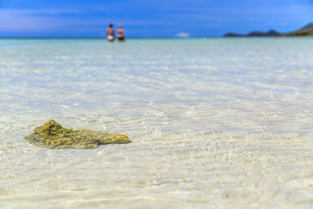 Water and beachの写真素材