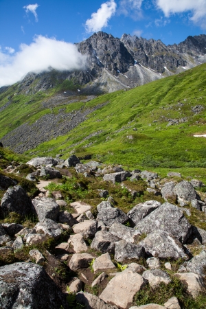 An alpine ridge in full summer greeneryの写真素材