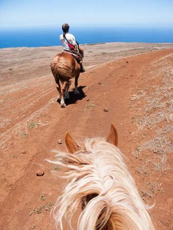 A rider leads two horses on a dusty pathの写真素材