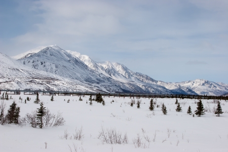 The Trans-Alaska Pipeline System in Interior, Alaskaの写真素材