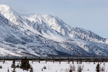 The Trans-Alaska Pipeline System in Interior, Alaskaの写真素材
