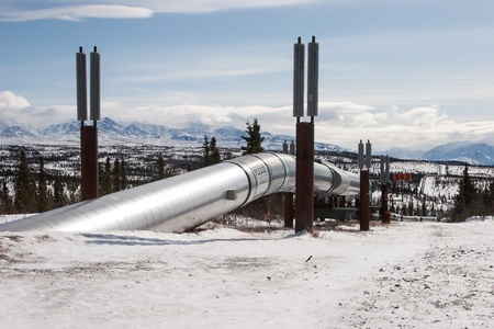 The Trans-Alaska Pipeline System in Interior, Alaskaの写真素材