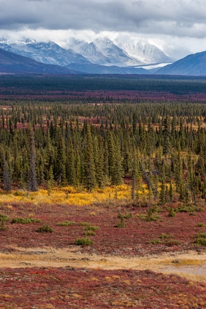 Receding glaciers and fall tundra combined into beautiful landscapeの写真素材
