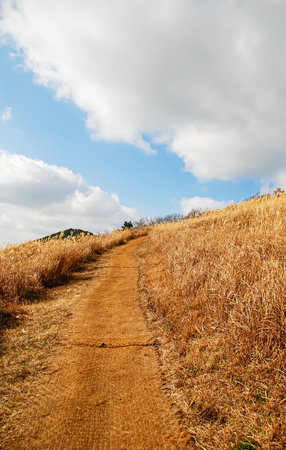 Dirt road in the countryside with blue sky and white clouds.の写真素材