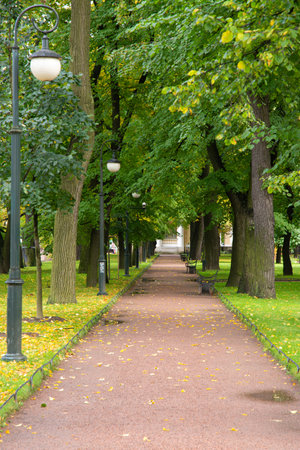 Alley in the park in the autumn. Russia, St. Petersburgの写真素材